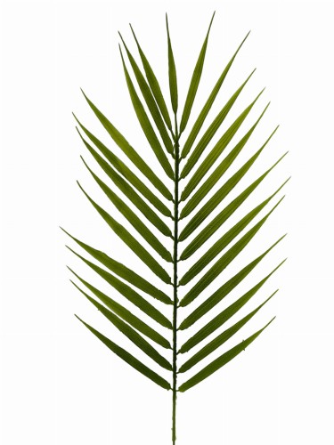 Liść palmy sztuczny 58 cm zielony – dodatek florystyczny do bukietów, stroików i kompozycji nagrobnych