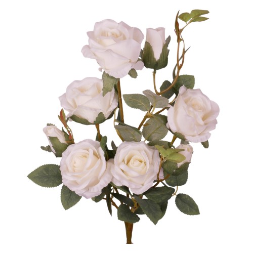 kdgw121white.jpg