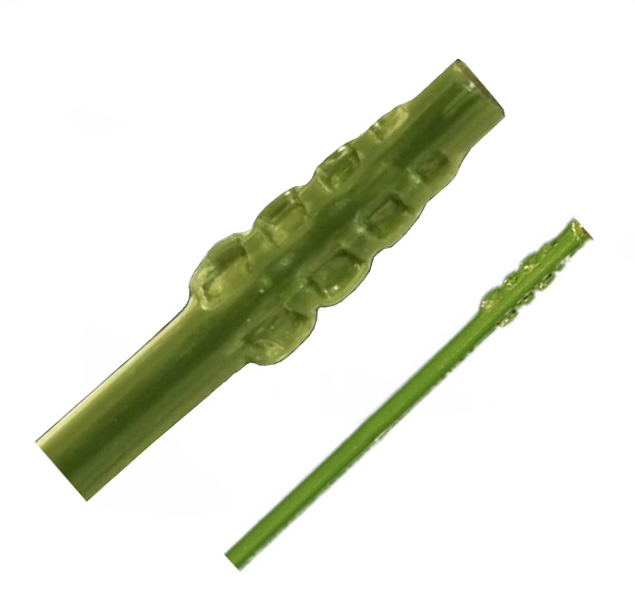 Odcisk-powiększeny2.png