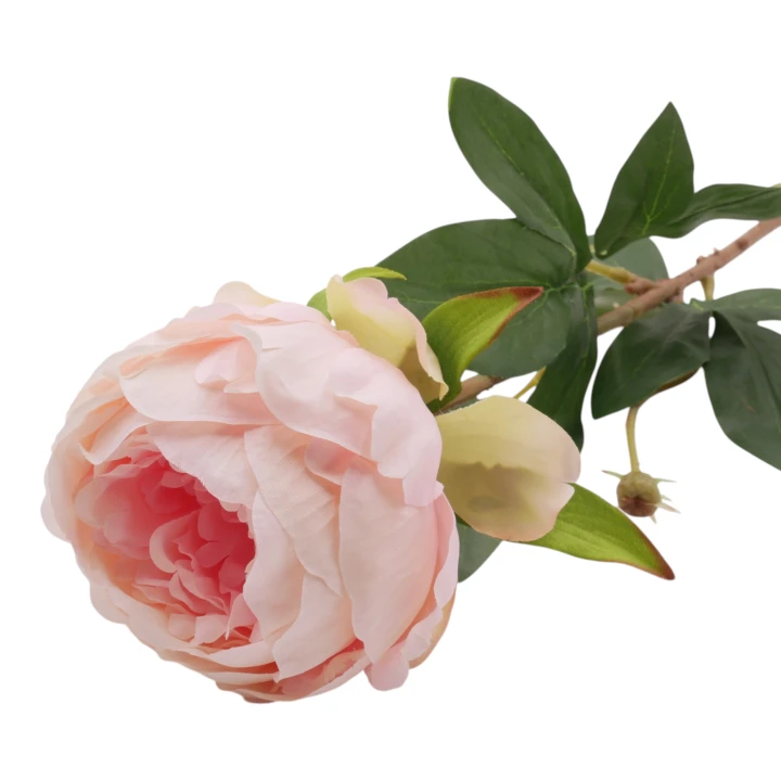 P1040209.png