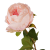 P1040215.png
