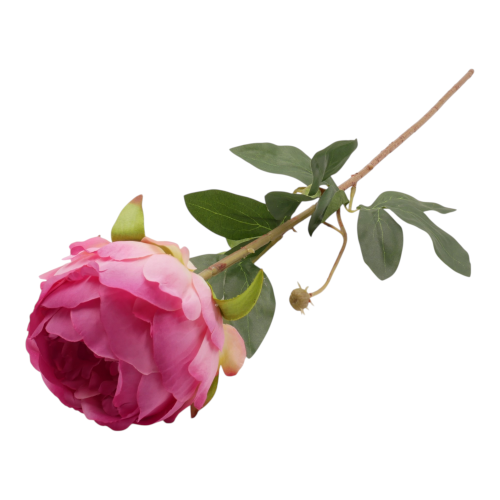 P1040205.png