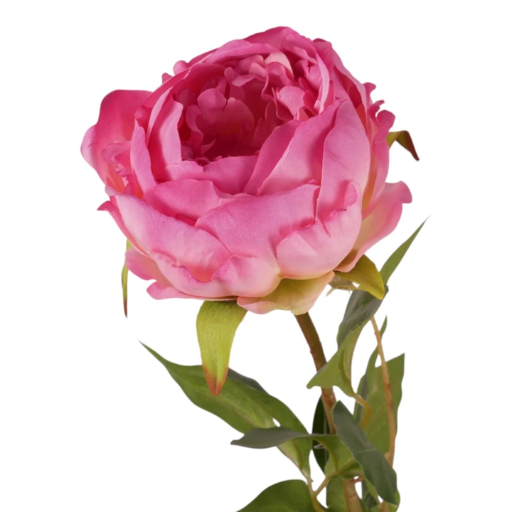 P1040213.png