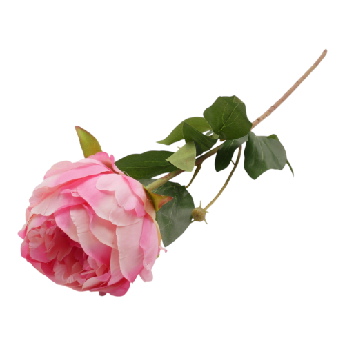 P1040206.png
