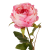 P1040212.png