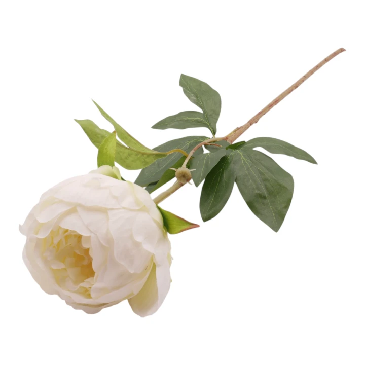 P1040207.png