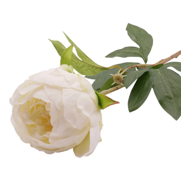 P1040208.png