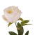 P1040216.png