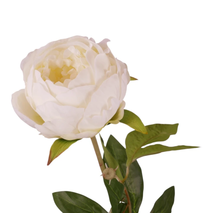 P1040216.png