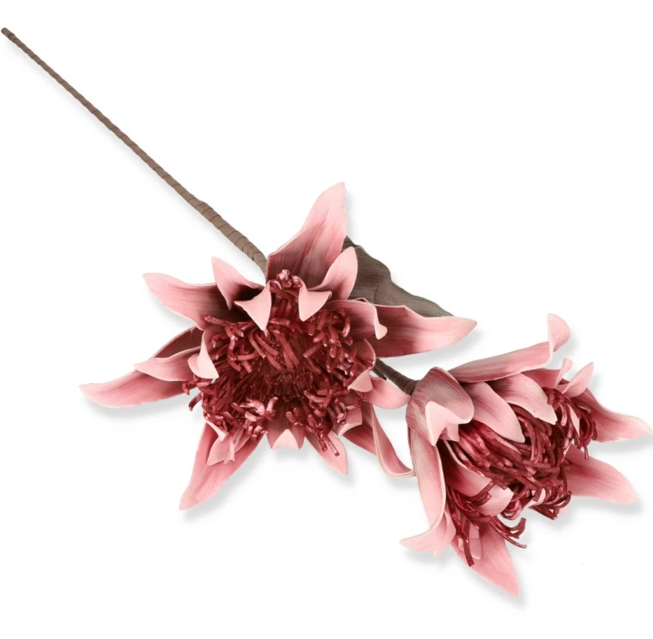 Protea Piankowa 96 cm – Pudrowy Róż