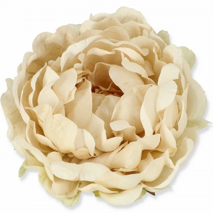 Peonia Wyrobowa 15 cm – Krem Waniliowy