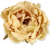 peony6.png