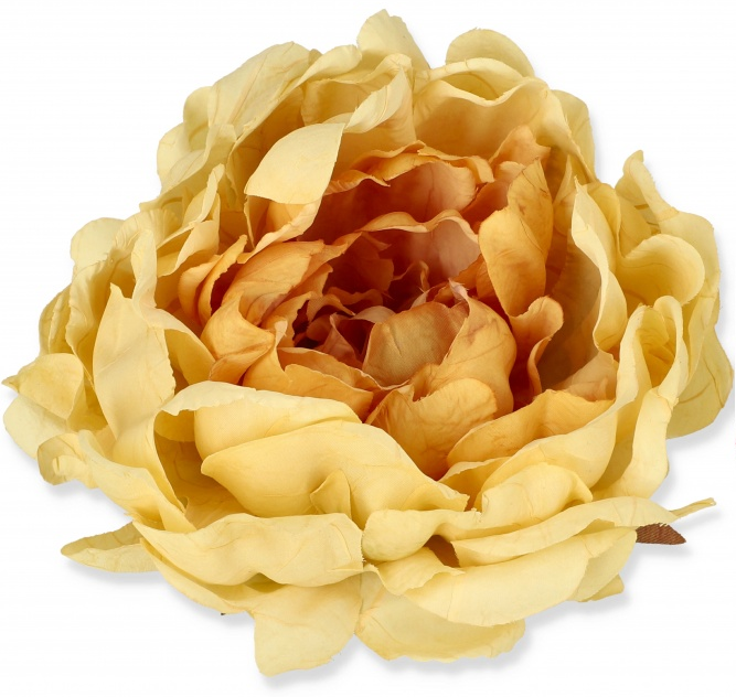 peony4.png