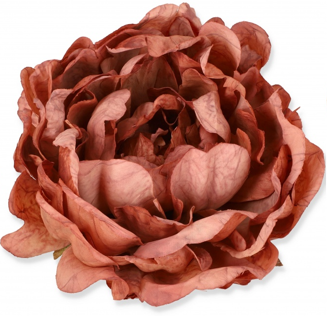 peony3.png