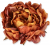 peony2.png