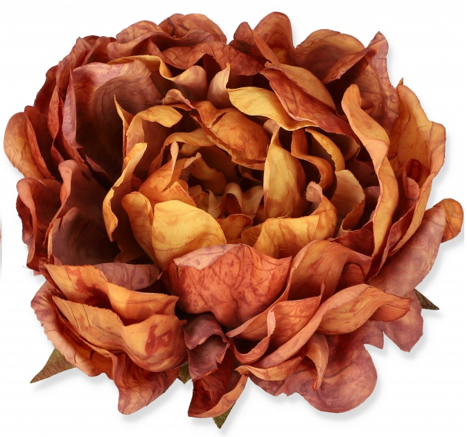 peony2.png