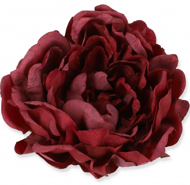peony1.png