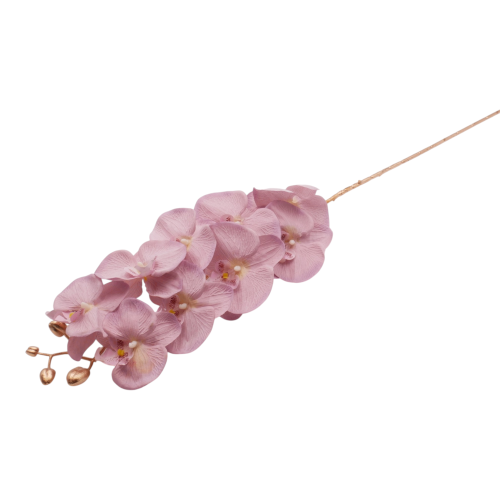 P1040218.png