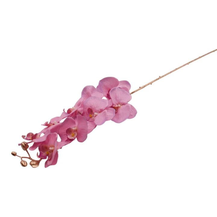 P1040223.png
