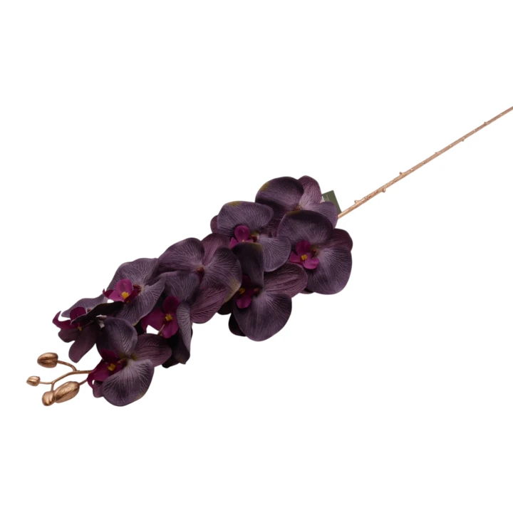 P1040225.png