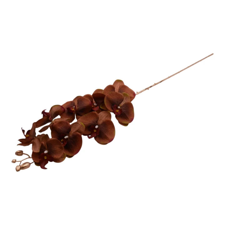 P1040227.png