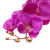 P1040231.png