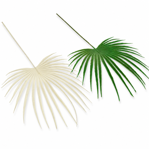 ChatGPT Image 8 lip 2026, 09_42_46.png