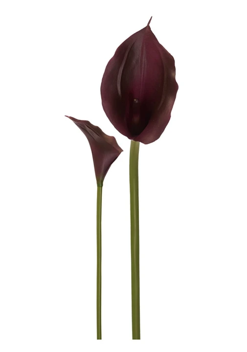 AL45085 #C34.jpg