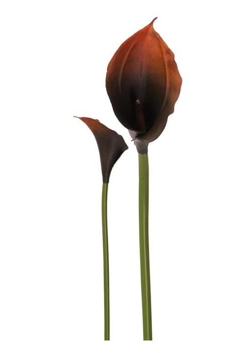 AL45085 #198.jpg