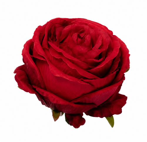 ChatGPT Image 13 sie 2026, 11_53_19.png