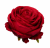 ChatGPT Image 13 sie 2026, 11_53_19.png