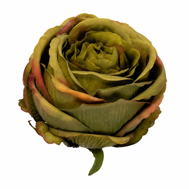 ChatGPT Image 13 sie 2026, 11_52_38.png