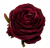 ChatGPT Image 13 sie 2026, 11_52_40.png