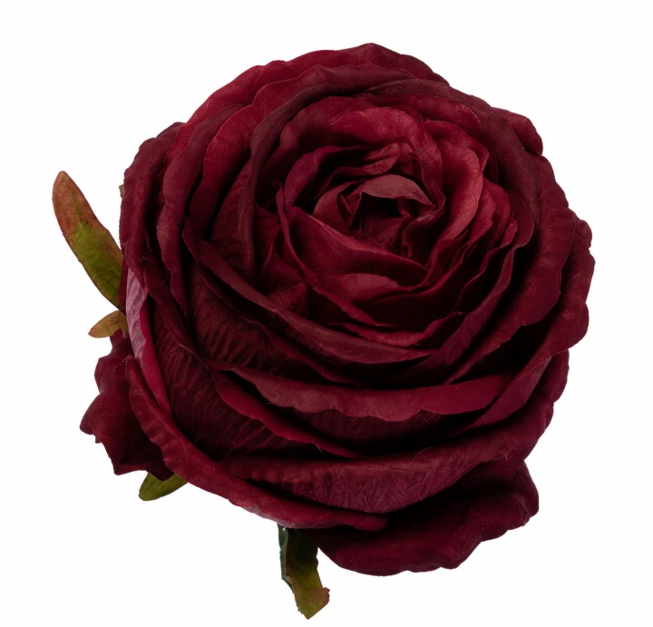 ChatGPT Image 13 sie 2026, 11_52_40.png