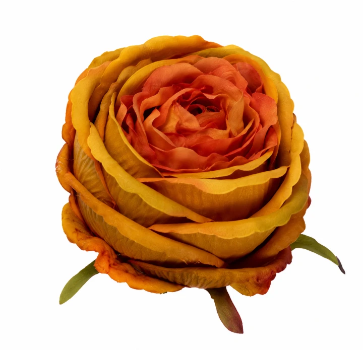ChatGPT Image 13 sie 2026, 11_52_43.png