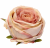 ChatGPT Image 13 sie 2026, 11_52_45.png