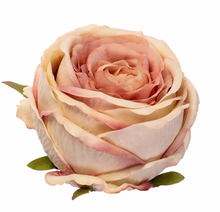 ChatGPT Image 13 sie 2026, 11_52_45.png