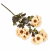 ChatGPT Image 13 sie 2026, 12_28_18.png