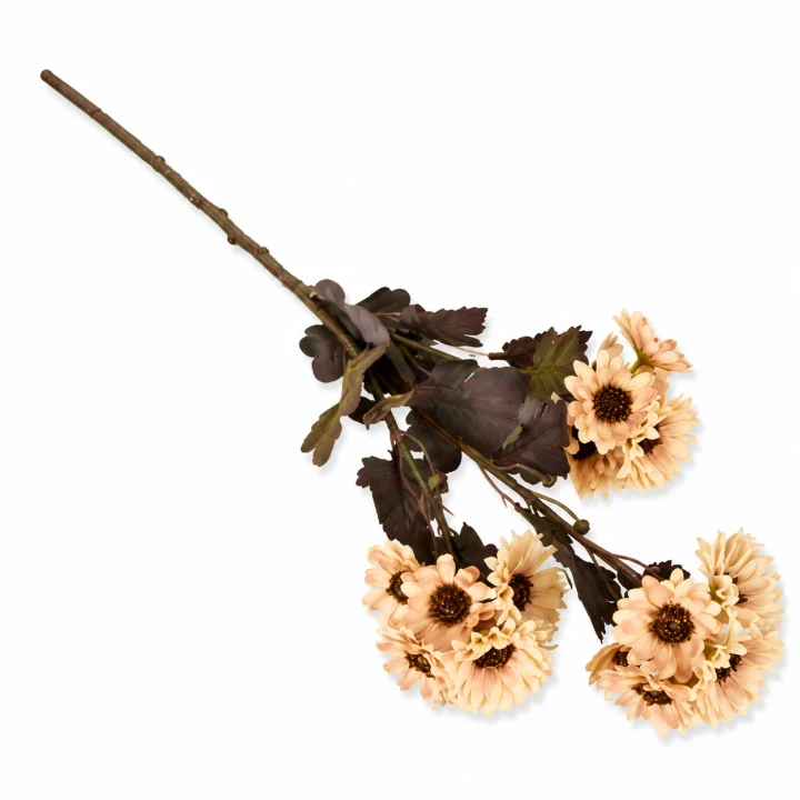 ChatGPT Image 13 sie 2026, 12_28_50.png