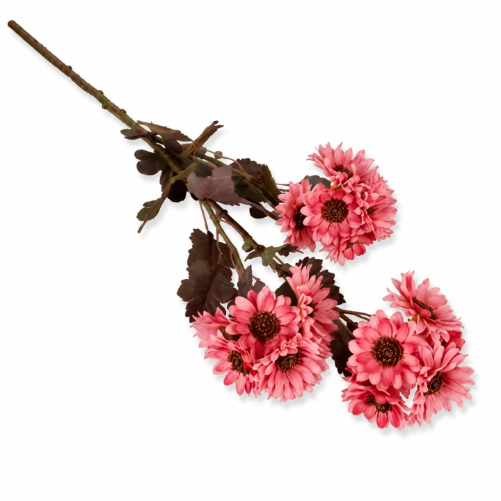 ChatGPT Image 13 sie 2026, 12_28_56.png