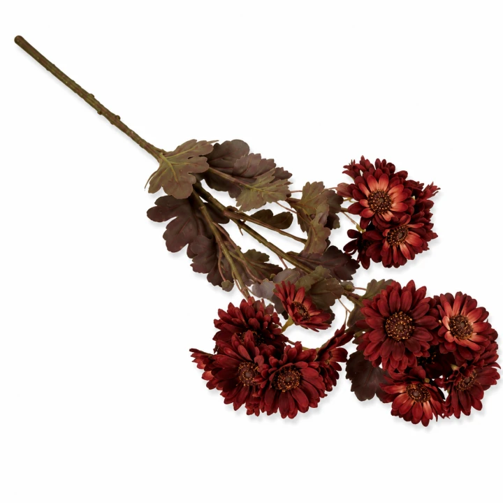 ChatGPT Image 13 sie 2026, 12_29_00.png