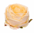 ChatGPT Image 13 sie 2026, 11_52_48.png
