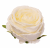 ChatGPT Image 13 sie 2026, 11_52_17.png