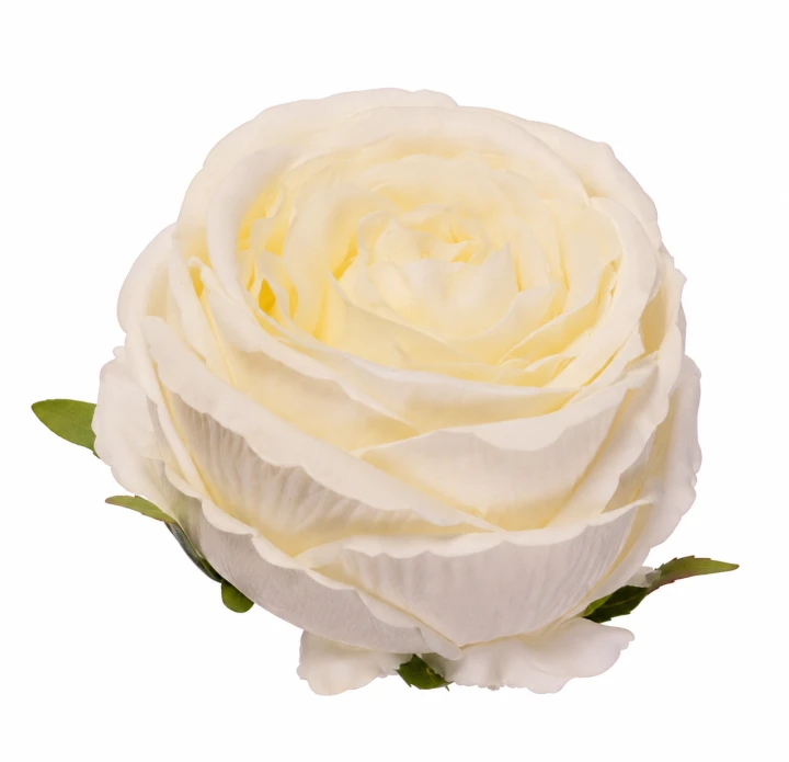 ChatGPT Image 13 sie 2026, 11_52_17.png