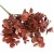 Bukiet eukaliptusa dekoracyjnego 39 cm — Bordowy