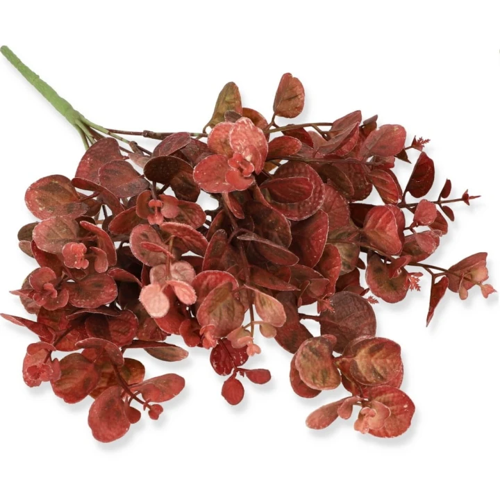 Bukiet eukaliptusa dekoracyjnego 39 cm — Bordowy
