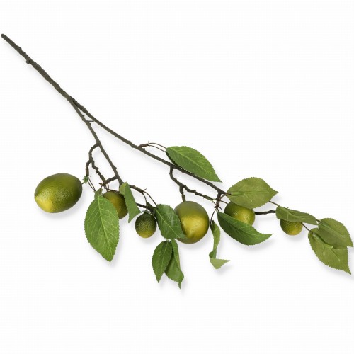 Gałązka limonki 80 cm – 6 owoców