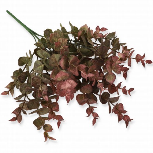 Bukiet eukaliptusa 37 cm – 5 odnóg