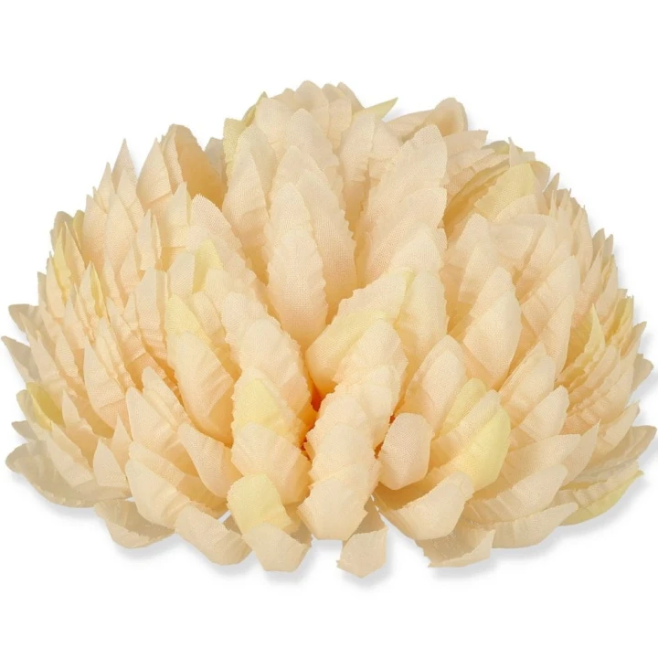 Chryzantema Ananas – CR635