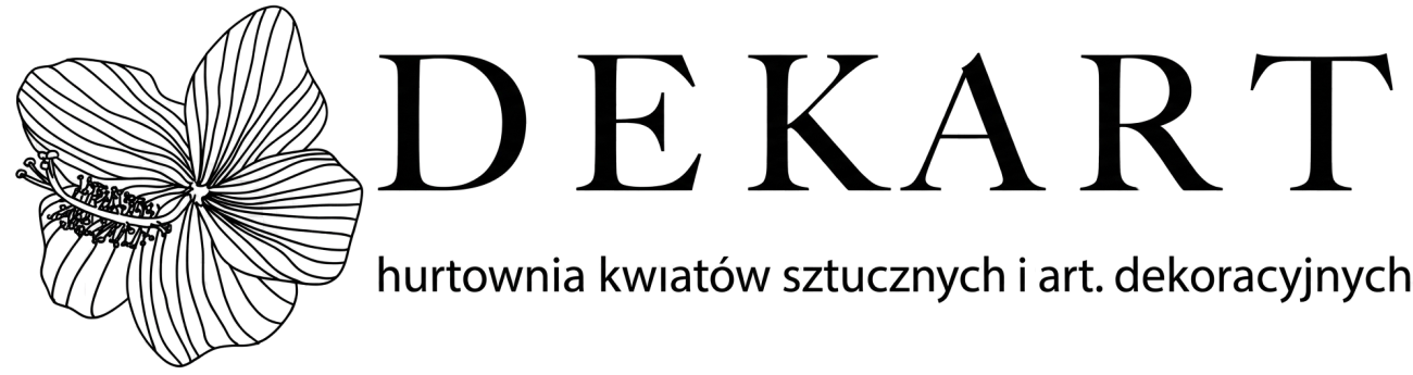 dekartsklep-logo - strona główna